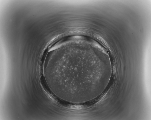 X0000085310444200703161455