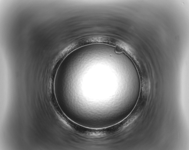 X0000085310445200703161455