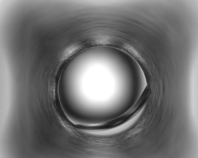 X0000085310446200703161455