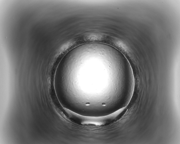 X0000085310447200703161455