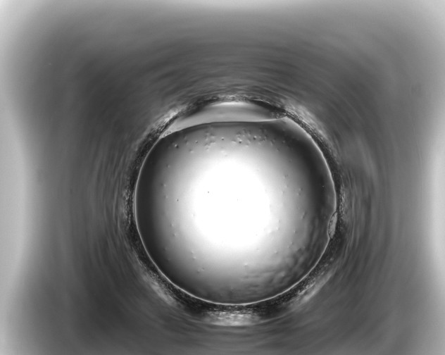 X0000085310449200703161455