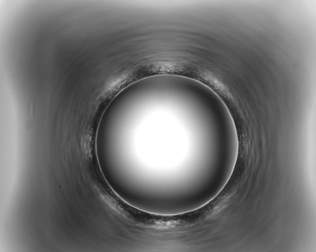 X0000085310450200703161455