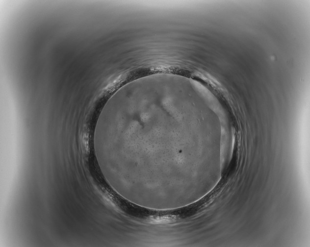 X0000085310452200703161455