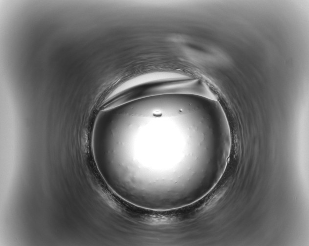 X0000085310453200703161455
