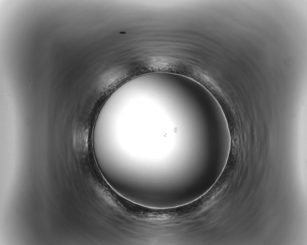X0000085310454200703161455