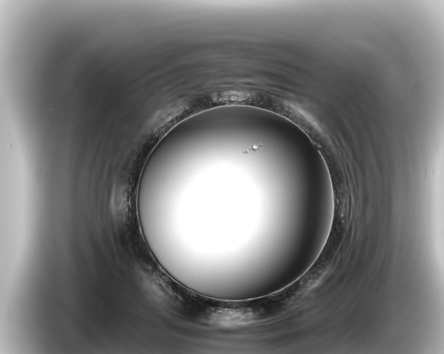 X0000085310455200703161455