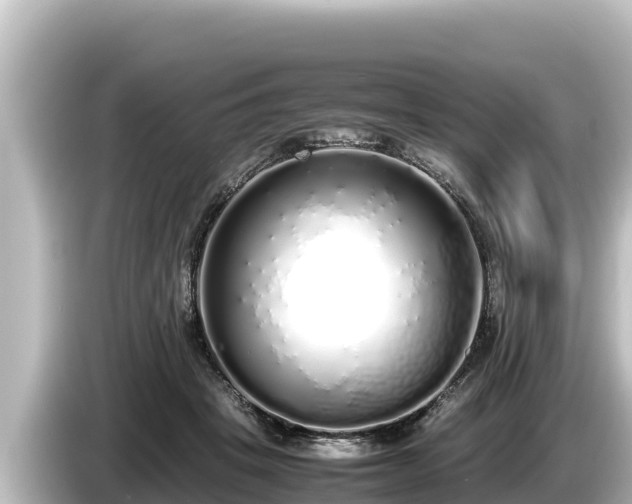 X0000085310457200703161455