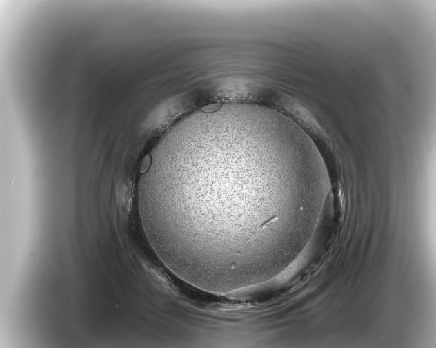 X0000085310458200703161455