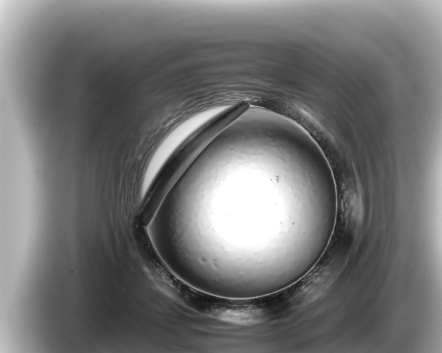 X0000085310459200703161455