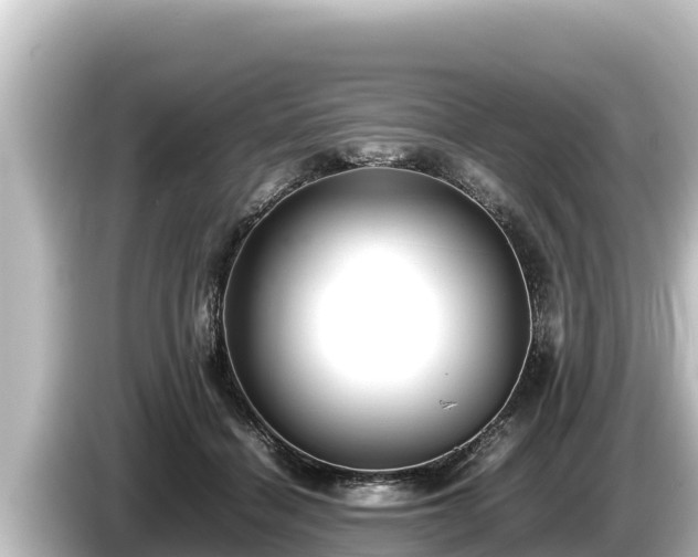 X0000085310460200703161455