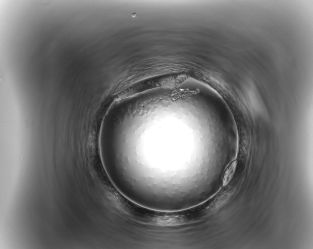X0000085310461200703161455