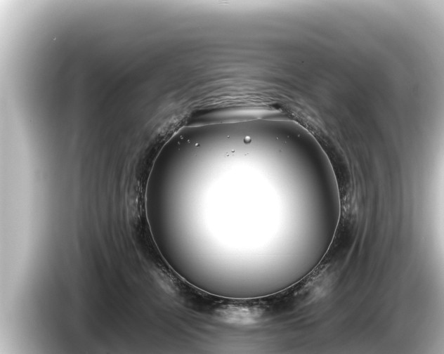 X0000085310464200703161455