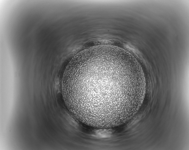 X0000085310465200703161455