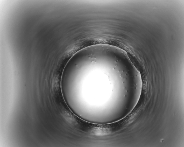 X0000085310466200703161455