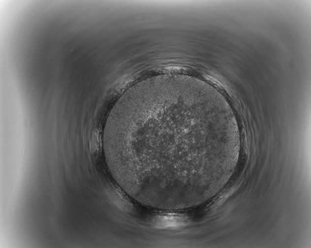 X0000085310467200703161455