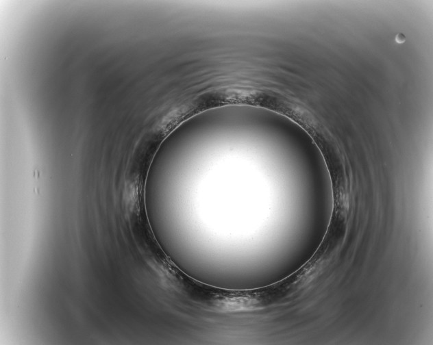 X0000085310468200703161455