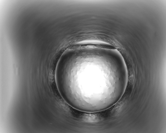X0000085310469200703161455