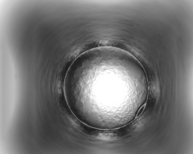 X0000085310470200703161455