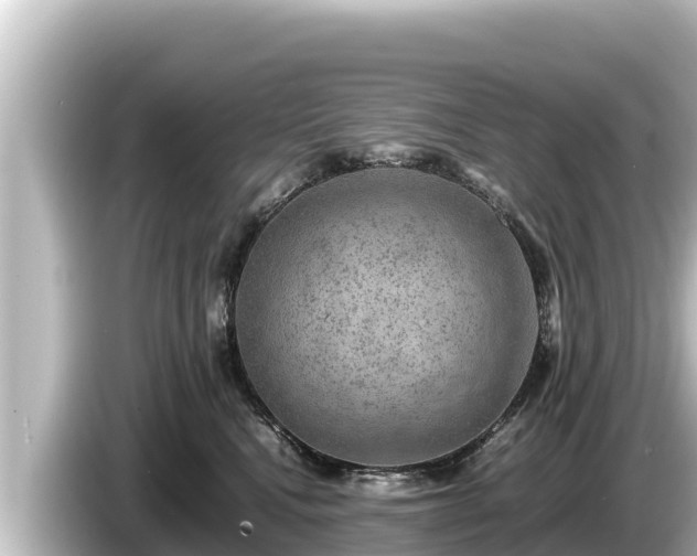 X0000085310472200703161455