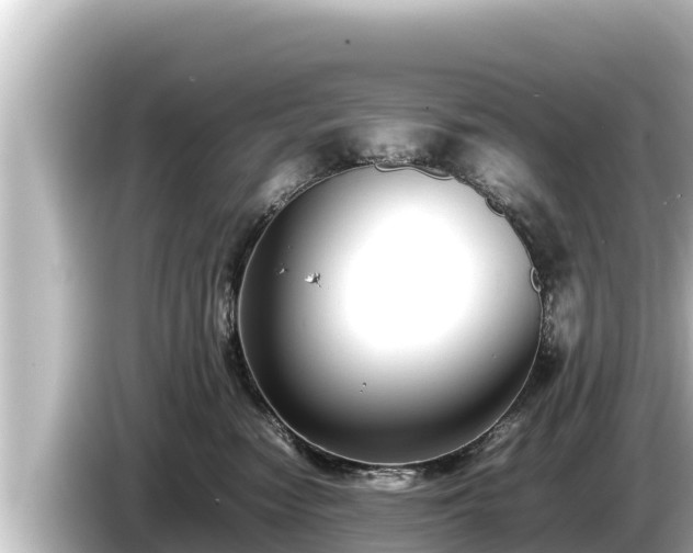 X0000085310474200703161455