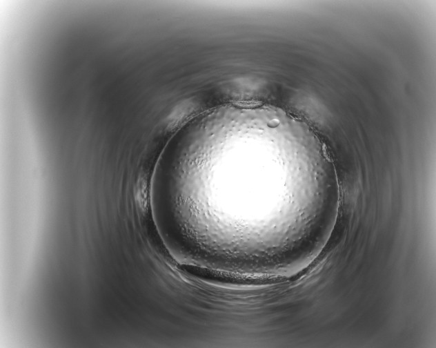 X0000085310479200703161455