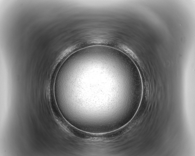 X0000085310482200703161454