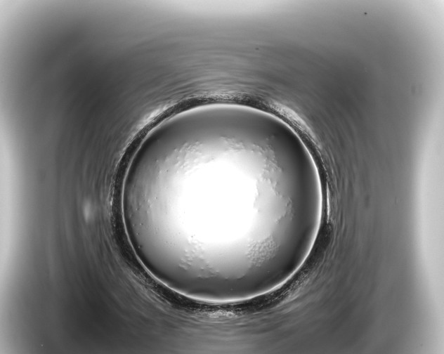 X0000085310483200703161454