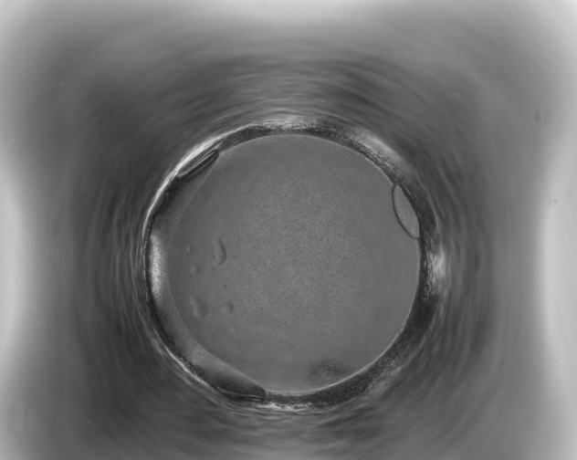 X0000085310484200703161454