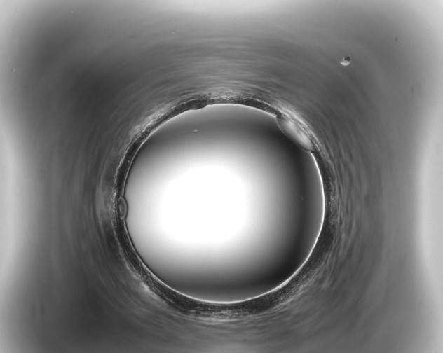 X0000085310485200703161454
