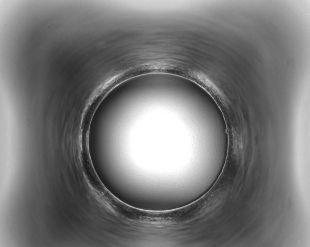 X0000085310486200703161454