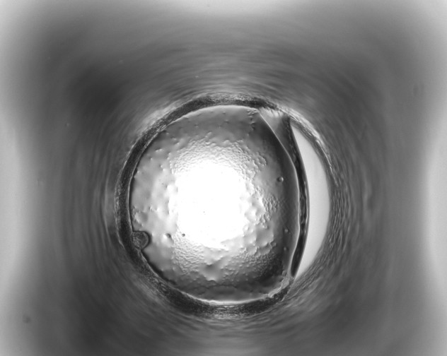 X0000085310487200703161454