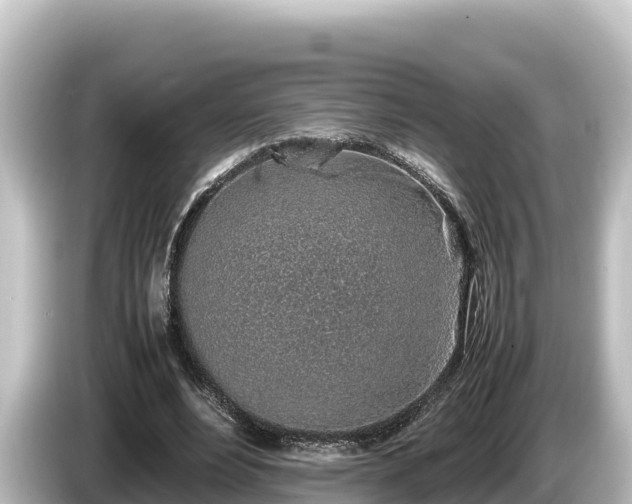X0000085310488200703161454