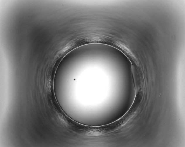 X0000085310489200703161454
