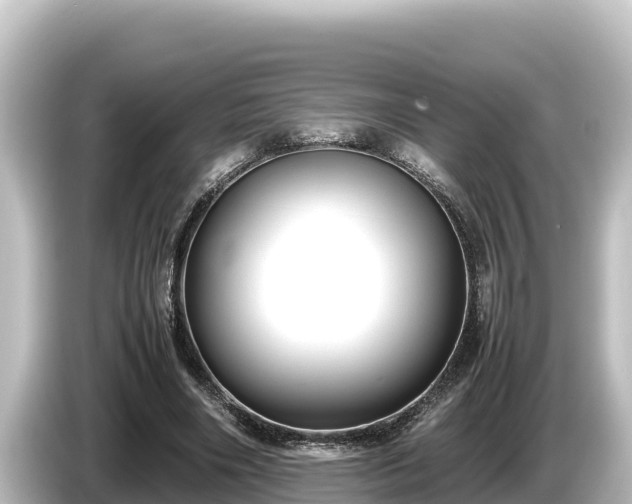 X0000085310490200703161454