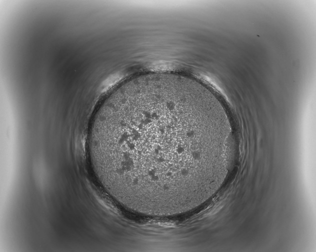 X0000085310491200703161454
