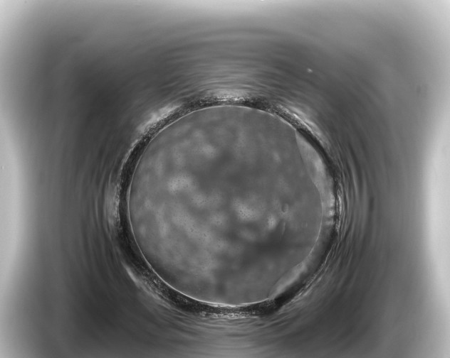 X0000085310492200703161454