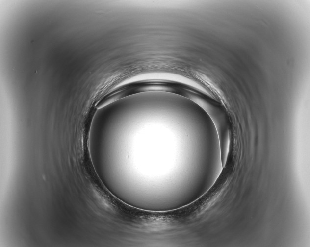 X0000085310493200703161454