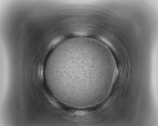 X0000085310494200703161454