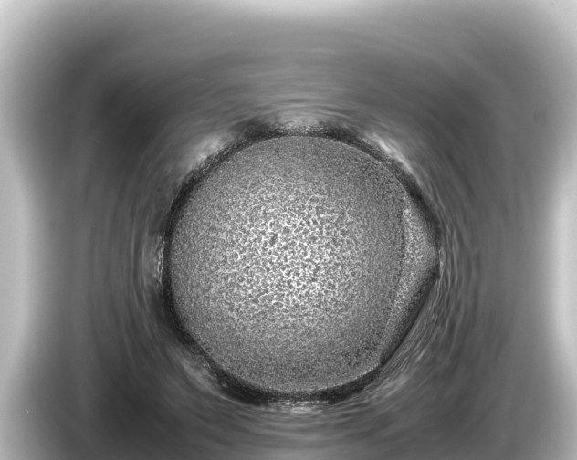 X0000085310495200703161454