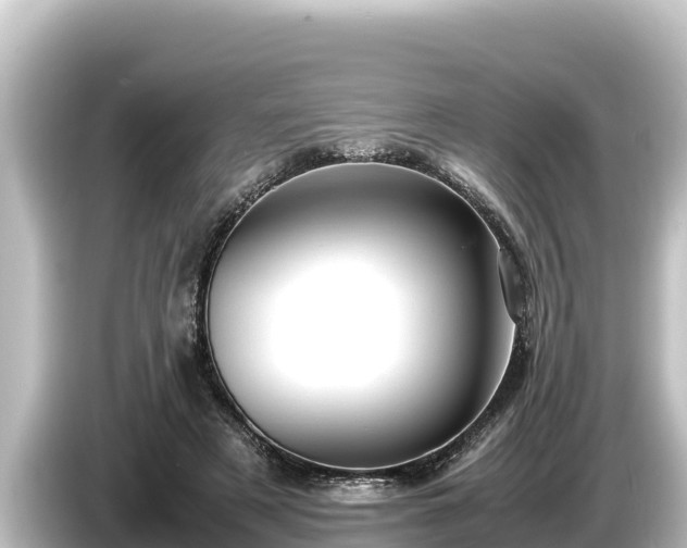 X0000085310497200703161454
