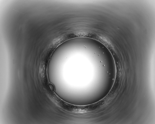 X0000085310498200703161454