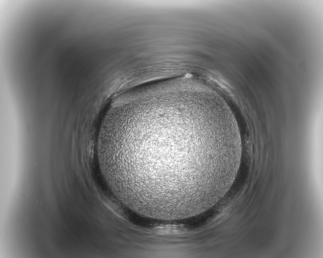 X0000085310499200703161454