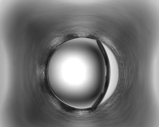X0000085310501200703161454