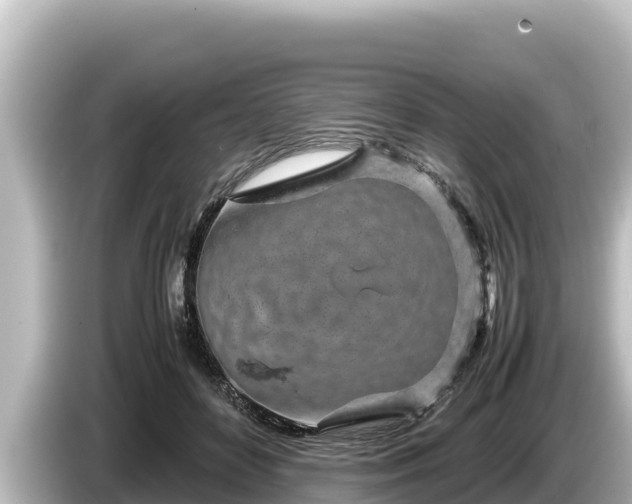 X0000085310504200703161454
