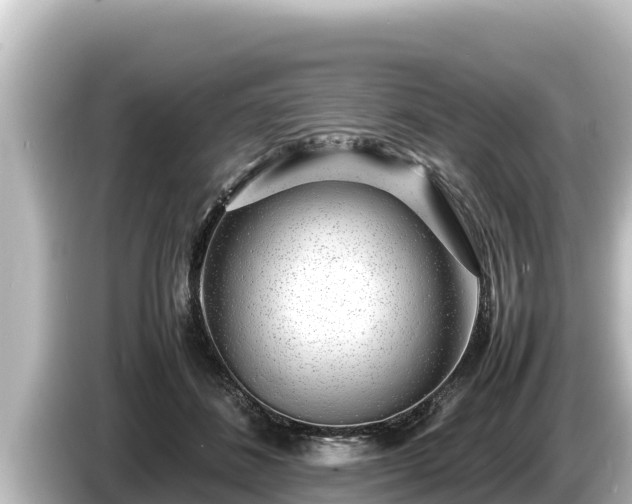 X0000085310508200703161454