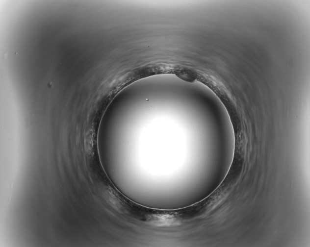 X0000085310509200703161454