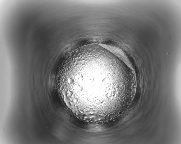 X0000085310511200703161454