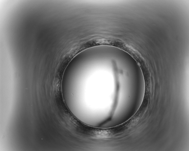 X0000085310513200703161454