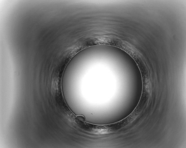 X0000085310514200703161454