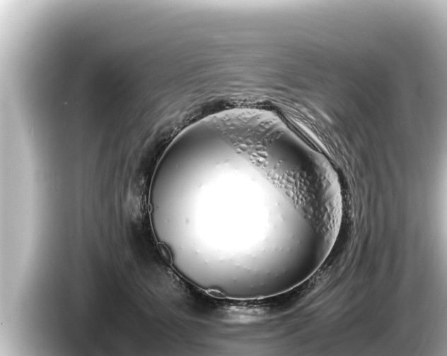 X0000085310515200703161454